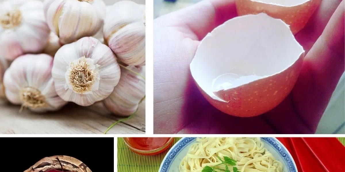 13 Cursed Foods and Food-Related Superstitions