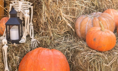 5 Creative Halloween Pumpkin Carving Ideas