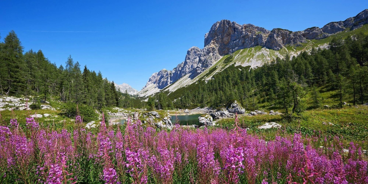 Alpine Slovenia