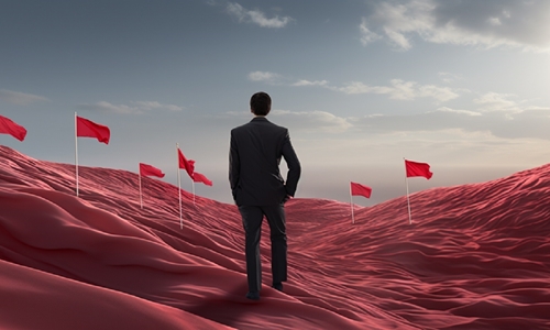 Are There Red Flags Investors See In Startups?