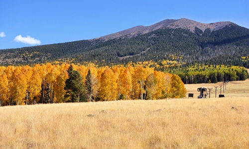Fantastic Day Trips From Phoenix Perfect For Fall