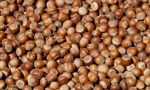 From Heart To Brain: 5 Reasons To Eat Hazelnuts