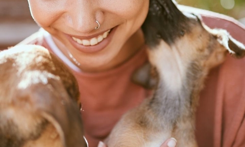 How to prepare for dog fostering?