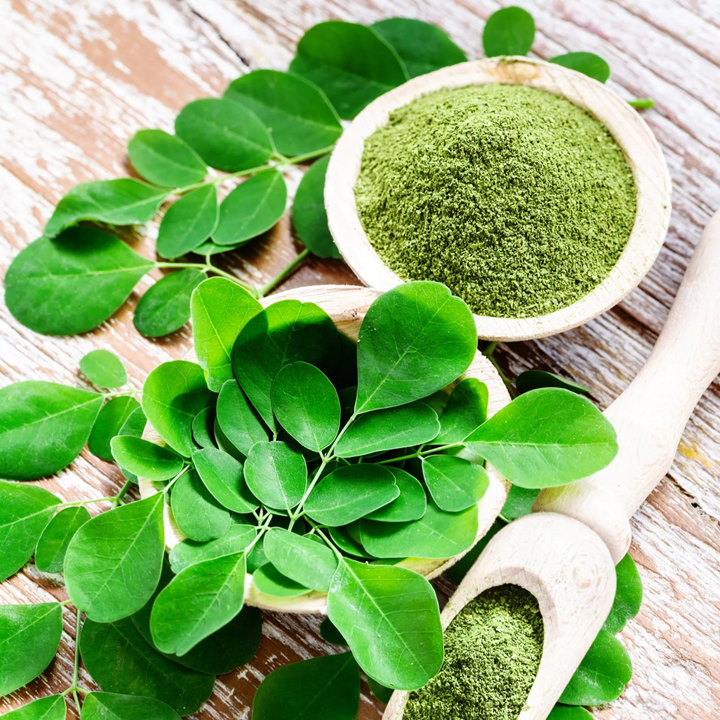 Moringa Leaves Health Benefits And Uses