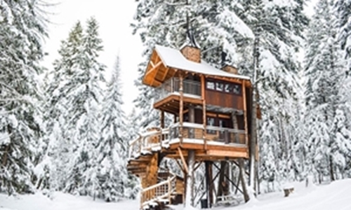 The best tree house vacation rentals in the USA