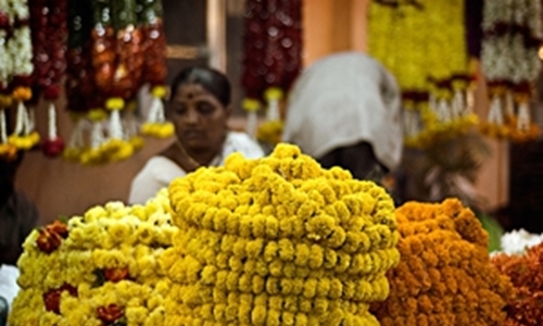 The Importance of Flowers in Indian Culture and Tradition