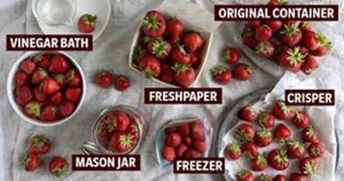 We Tested 6 Ways to Store Strawberries