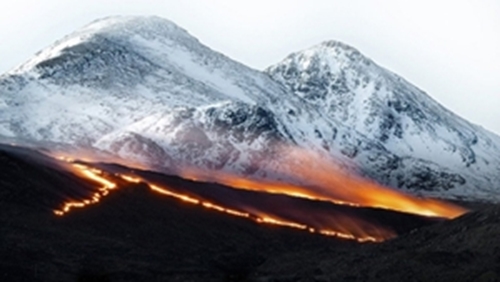 Wild shots: Scottish Nature Photography Awards winners