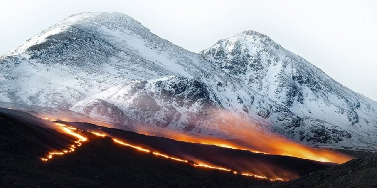 Wild shots: Scottish Nature Photography Awards winners